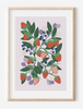 Berry Art Print