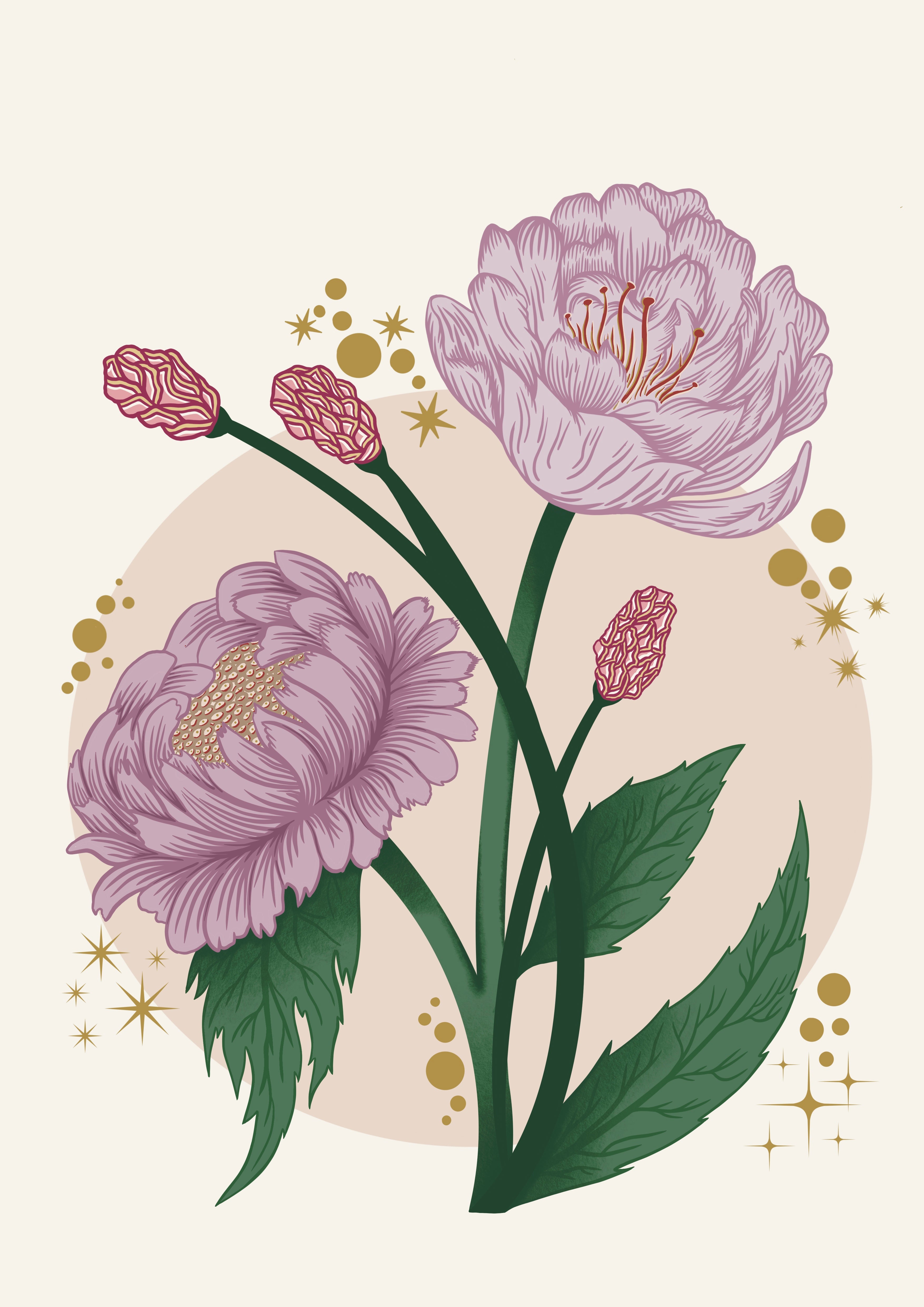 Peony Floral Art Print