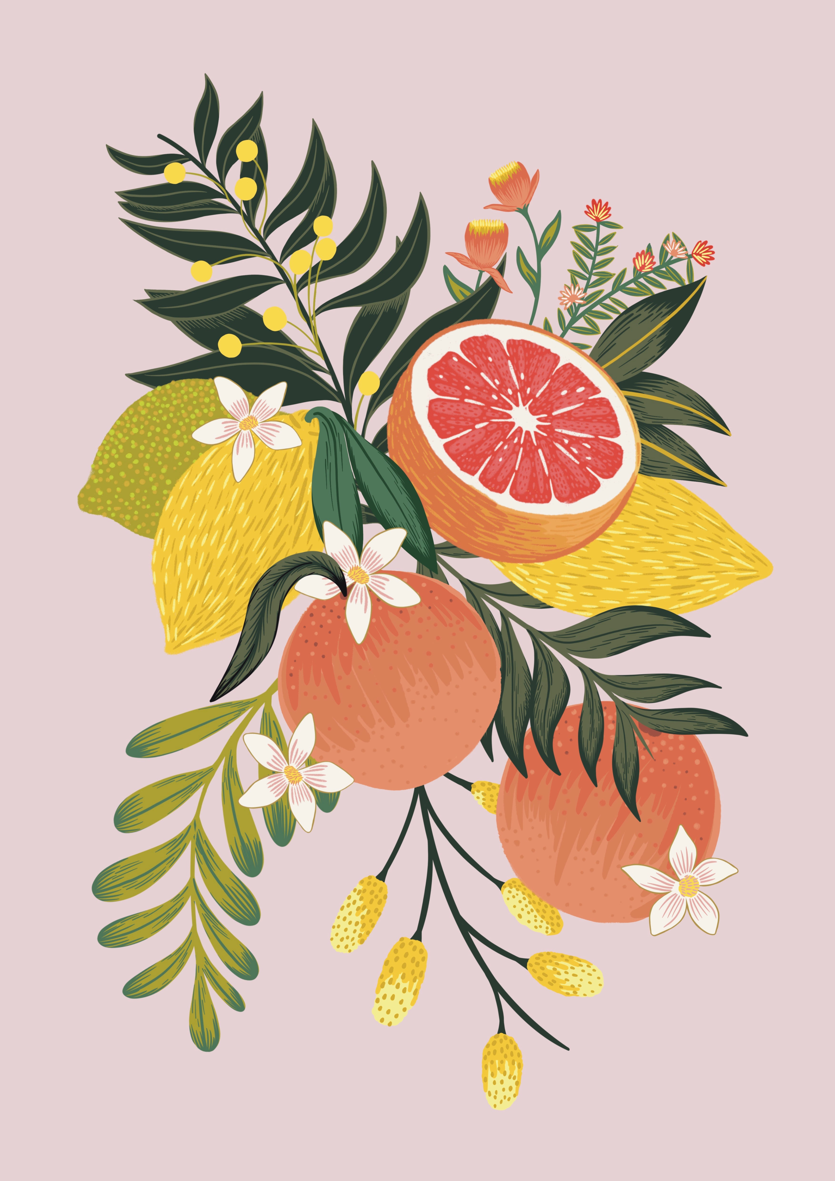 Citrus Fruits Art Print
