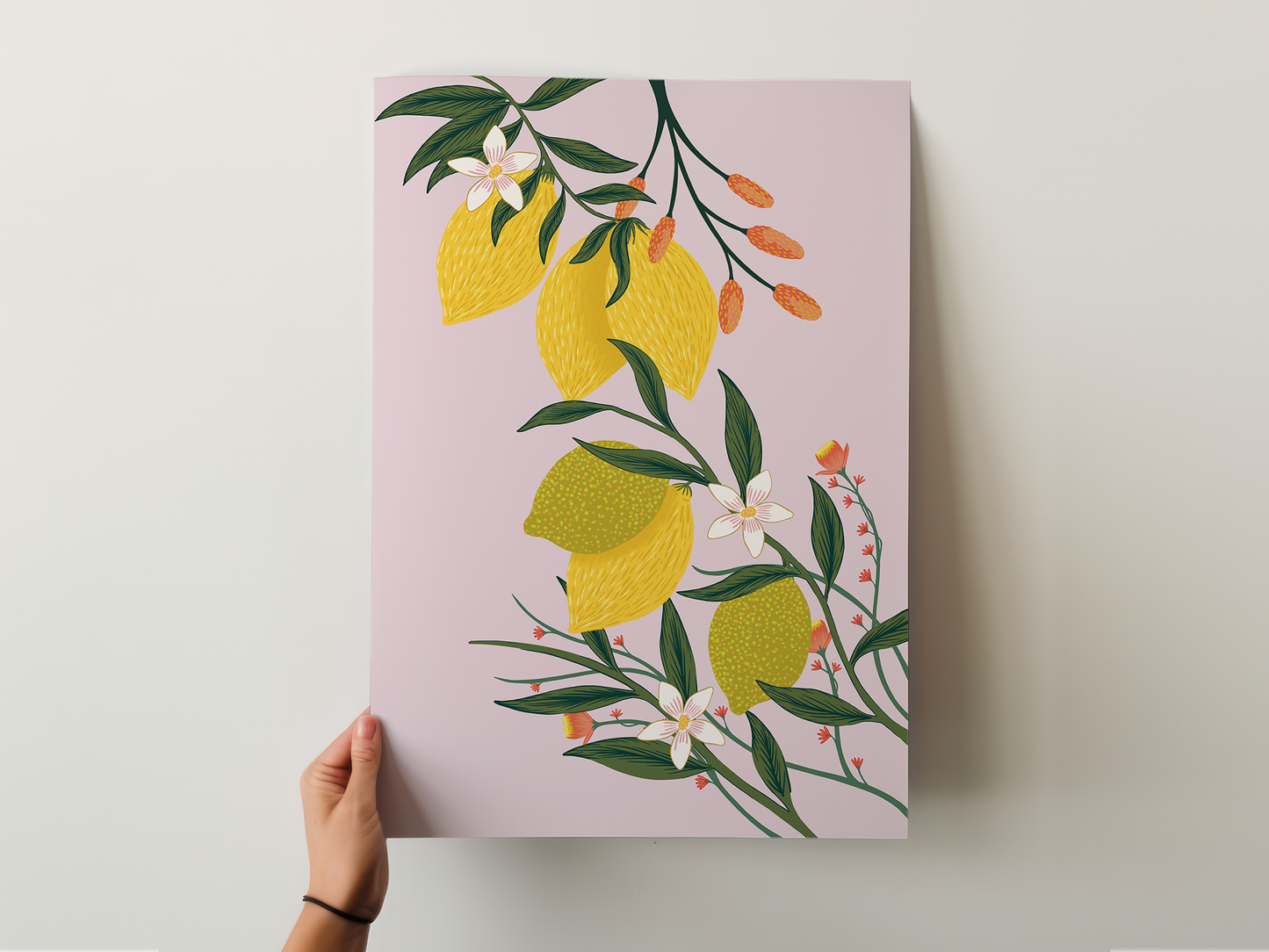 Citrus Fruits Set of 2
