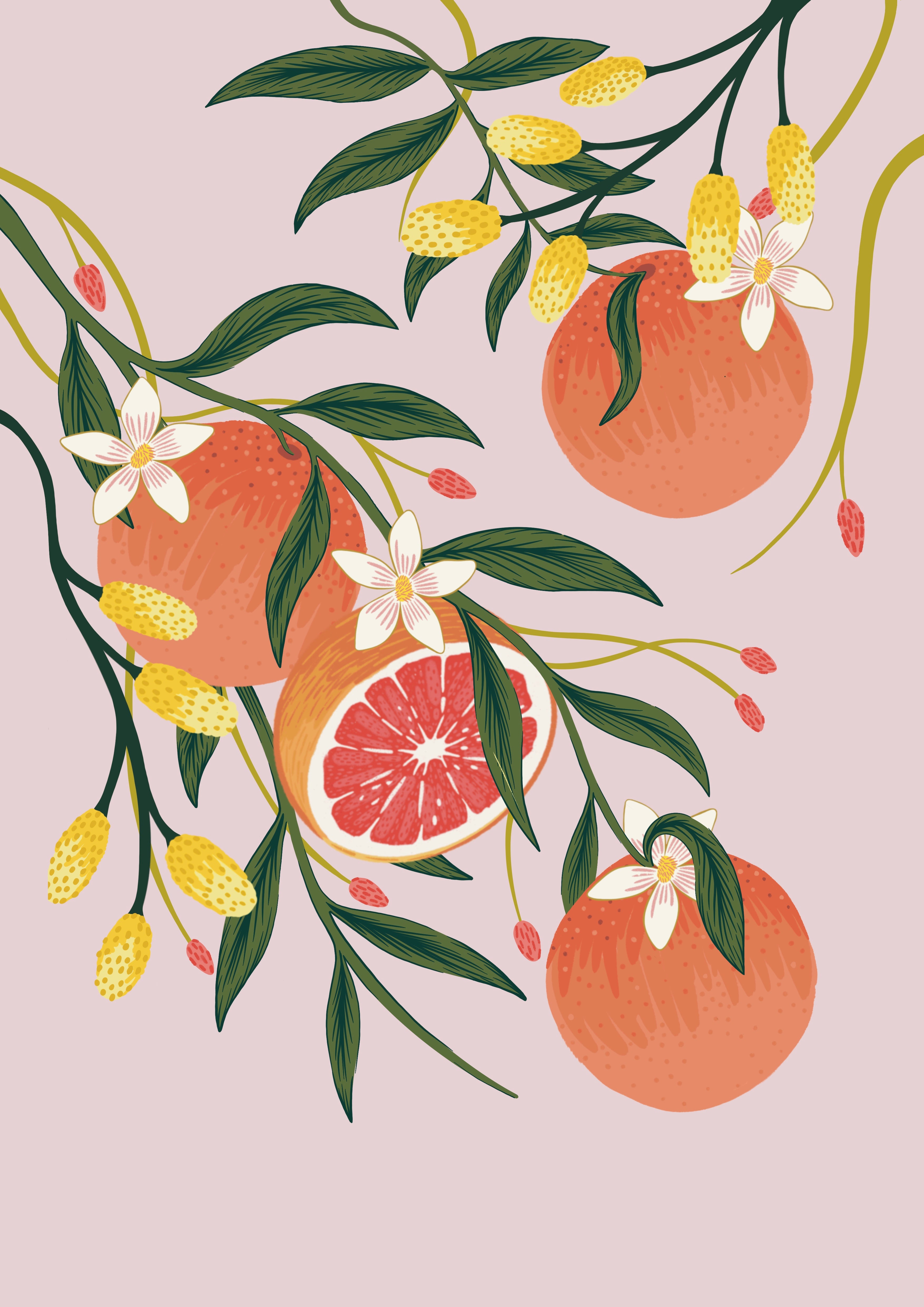 Citrus Fruits Art Print