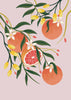 Citrus Fruits Art Print
