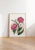 Peony Floral Art Print