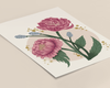 Peony Floral Art Print